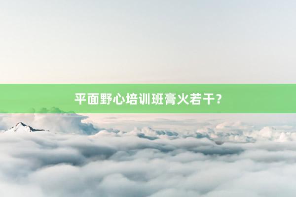 平面野心培训班膏火若干？