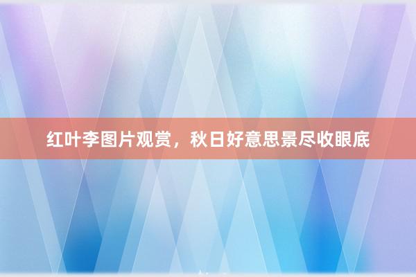 红叶李图片观赏，秋日好意思景尽收眼底